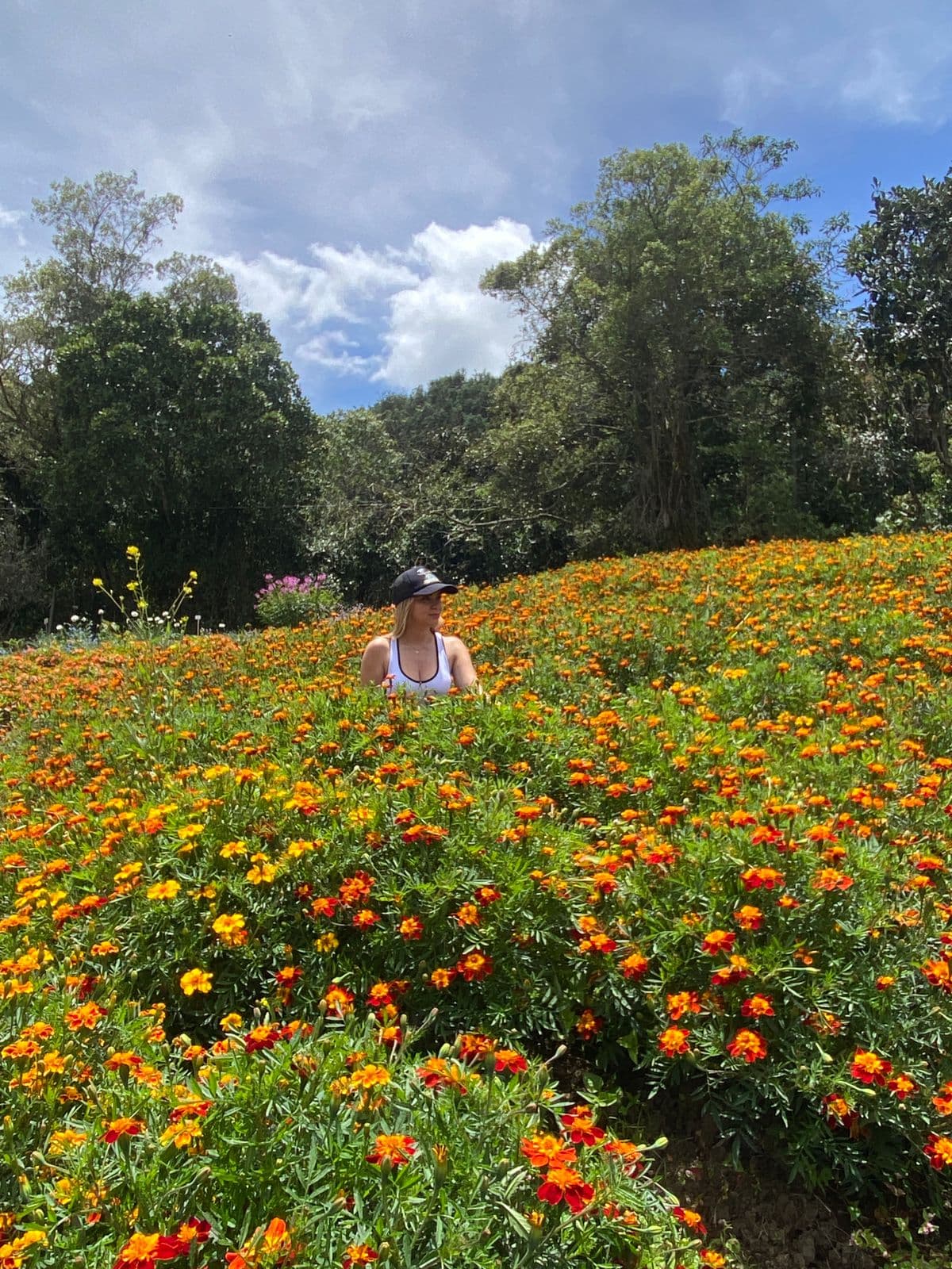 Tour Santa Elena